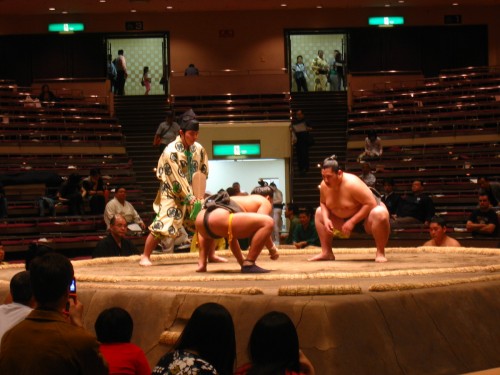 Sumo wrestling