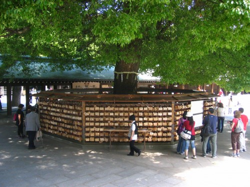 Tree in Meiji Jingu Shrine