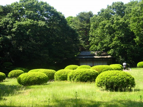 Tea house in a garden