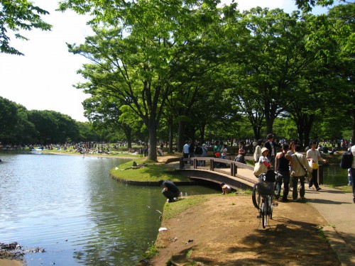 Sunday in Yoyogi Park